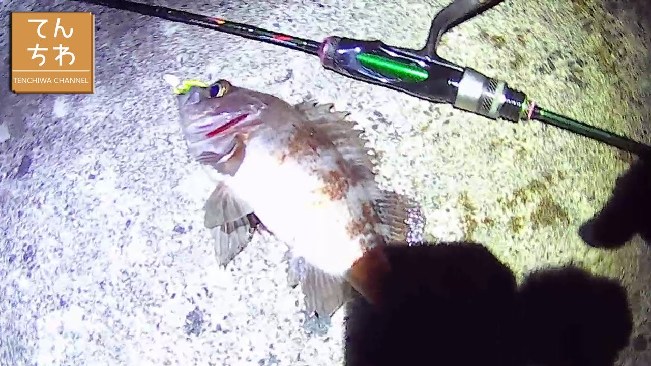 青森 釣り 4月のメバリング 季節が進んでいるのが実感できた件 アジはまだでした Youtube 青森 釣り 4月のメバリング 季節が進んでいるのが実感できた件 アジはまだでした Youtube