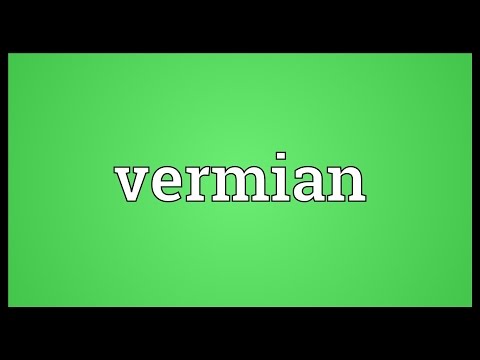 Header of vermian