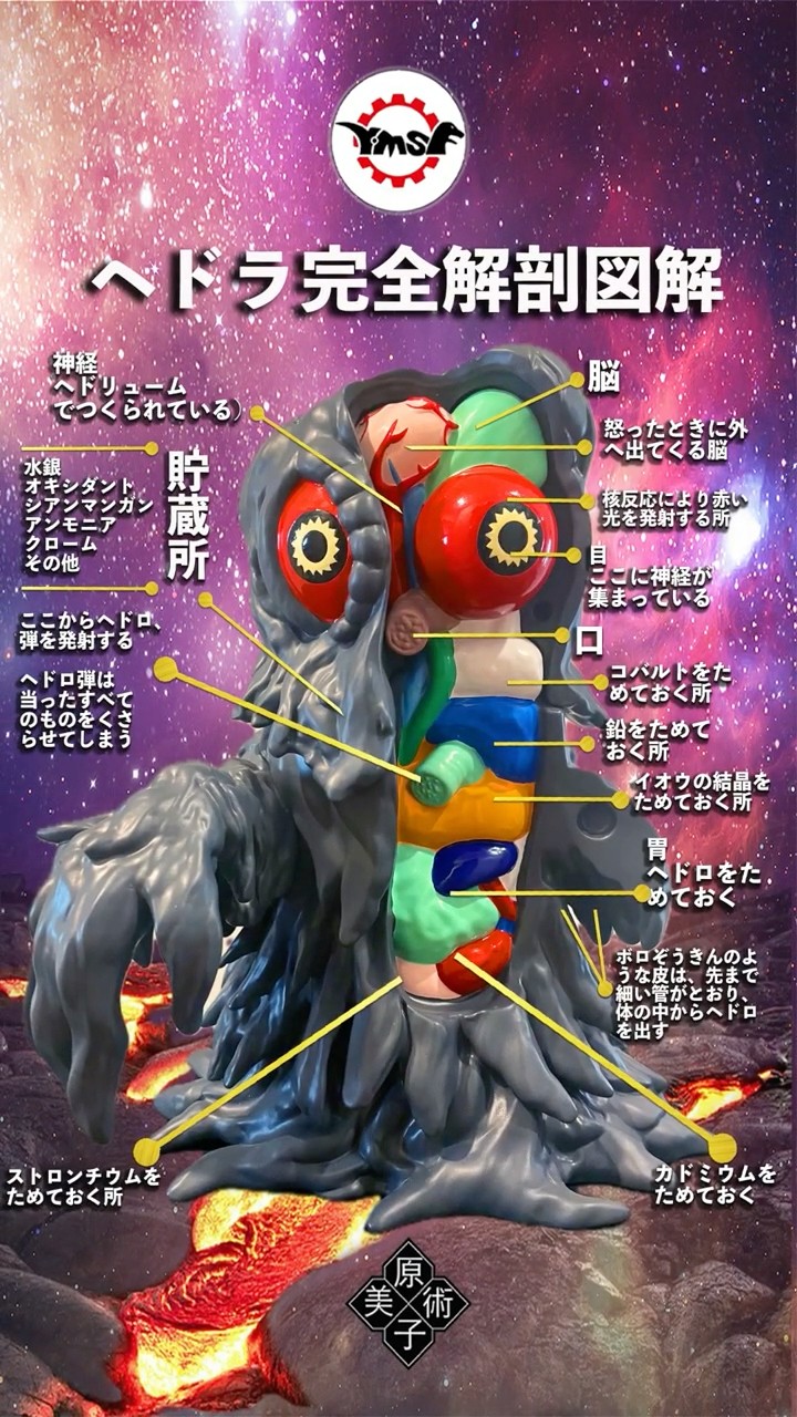 Y・MSF ヘドラ完全解剖図解 オリジナルデザイン 『Anatomy ヘドラ