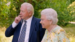 Sir David Attenborough: There is still time to ‘switch off the reactor’ and save the natural world