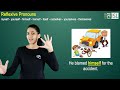 English Module 2B Series 5:- Reflexive Pronouns and Have, Has, Had