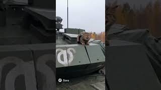 Invite code sora: DHEWP Кот хочет в бой \ Настоящий боец
