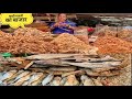 सुखी मछली का बाजार/ Dried Fish Market