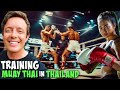 Experiencing A Muay Thai Training Camp in Thailand 🥊🇹🇭🥊