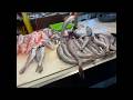 那個魚？就是那個魚。#屏東東港華僑市場#魚類#台灣美食 #fish#delicious