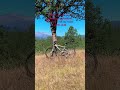 It’s chill 🤷‍♂️ #mtb #bike #amtb #mountainbike #mtbreview #mtbtrail #mtbholidays #mtbiking #mtbfun