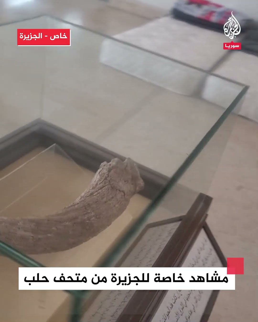 مشاهد خاصة للجزيرة من متحف حلب