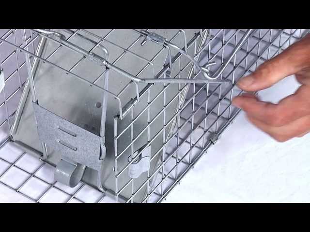 Havahart® - Easy Set® Cage Traps, Instructional Video