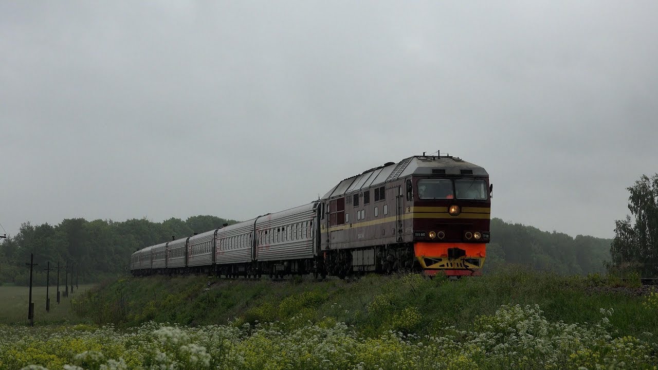 Поезд 259а Санкт-Петербург Анапа. 492с поезд. Поезд Елец Анапа. Поезд 259 03 июня Анапа Санкт Петербург.