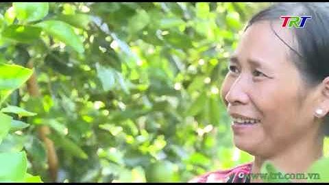 Nâng cao năng lực cạnh tranh các sản phẩm nông nghiệp