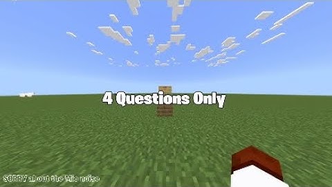 Guess the MINECRAFT Block Pt1