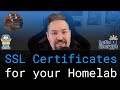 LetsEncrypt our homelab with valid wildcard SSL certificates - Tutorial for Beginner