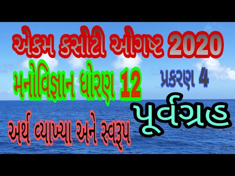 Std 12 psychology chapter 4/Manovigyan /(Prejudice) પૂર્વગ્રહનો અર્થ,વ્યાખ્યા અને સ્વરૂપ.