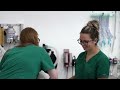 Corporate Video Narration - Vets - Carrie Crosbie