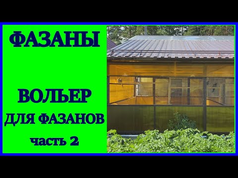 Бейне: Орман шатырының астында өмір