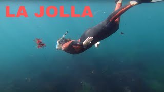 La Jolla Snorkeling | Children’s Pool and Seal Rock