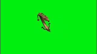 Best dragon effect Green screen