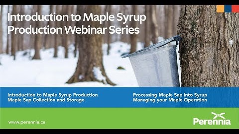 Processing Maple Sap into Syrup