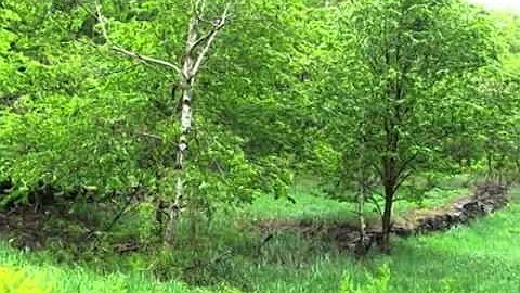 Homes for Sale - 0 Armlin Rd Broome NY 12122 - Mar...