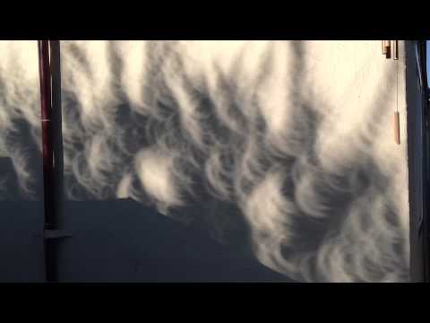 Ring of fire eclipse , leaves shadow affect