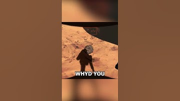 The bee hive incident in #lethalcompany