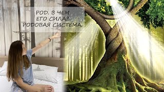 Род. Родовая система. Зачем прорабатывать род?