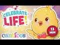 🎊🌼Compilation: Celebrate Life | Early Learning | Preschool | 🐥@canticosworld  🌸🌈✨