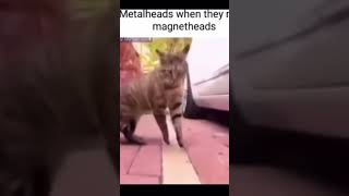 Metal heads when they meet magnet-heads #meme #funny #comedy #cats