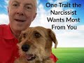 One Trait A Narcissist Wants Most From You