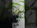 Bênçãos em sua vida!!