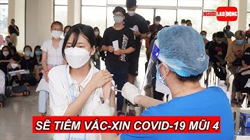 Tuần tới, TP HCM sẽ tiêm vắc-xin phòng Covid-19 mũi 4 | Báo Người Lao Động