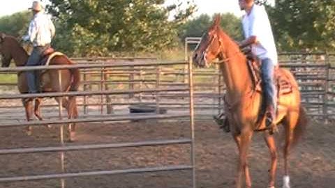 2 man ranch sorting lazy y arena