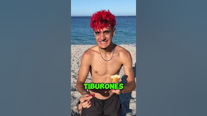 Me ENCANTAN los TIBURONES (Voy al MAR a BUSCARLOS)