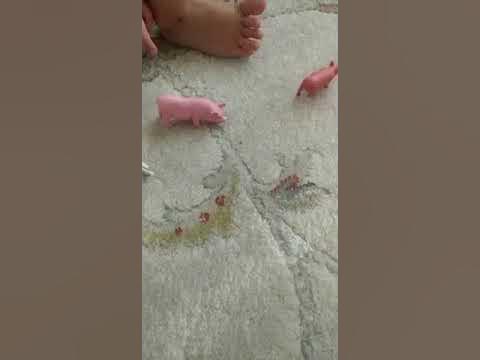 Мама свинья, папа свинья - YouTube