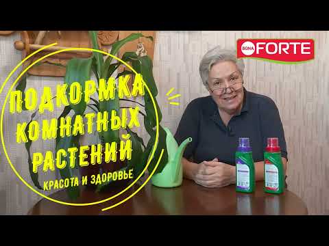 Удобрение для всех комнатных цветов, как правильно разводить и поливать рассказывает Тетя Таня
