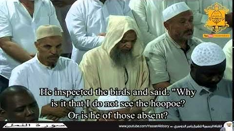 تلاوة بالأداء العراقي الجميل د. ياسر الدوسري