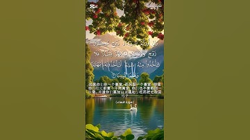 سورة النساء الاية 17_19 #القرآن_الكريم #اكسبلور #duet #قرآن #راحة_نفسية #دويتو #تيك_توك