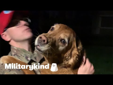 Dogs and kids stay awake for homecoming | Militarykind