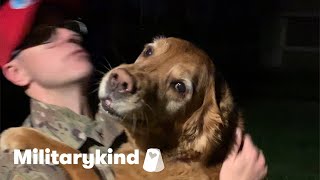Dogs and kids stay awake for homecoming | Militarykind