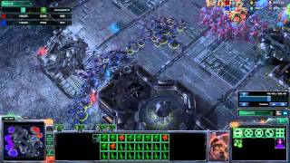 [#51] ZvP Stephano's Roach Build into muta
