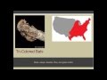 The Benefits of Bats The Benefits of Bats