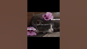 اقترب للناس حسابهم …|سورة الأنبياء 🌷