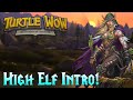 Turtle WoW | The High Elf Intro