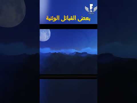 شنو علاقة شجرة الكريسماس برأس السنة واش عارف    