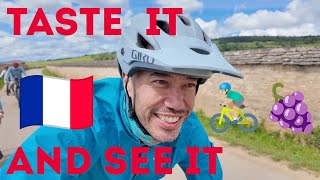 Bike Touring The Vineyards Of Burgundy, France - A Perfect Weekend Getaway