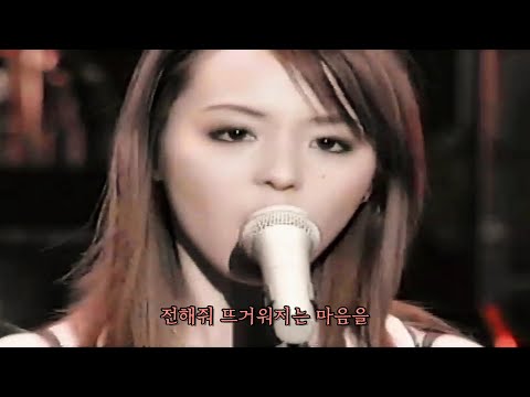 히라노 아야(Aya Hirano) - God Knows... (가사) [LIVE] (스즈미야 하루히의 격주)