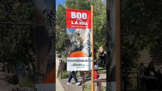 Boo! #booatthezoo #dayinthelife #lazoo #losangeleslakers #halloweentime #shorts #trickortreat #mom