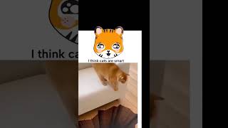 Cats don’t just look cute… they think smart 😼🧠