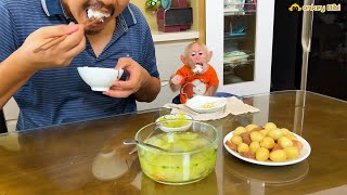 Monkey BiBi and dad eat simple but full of love!