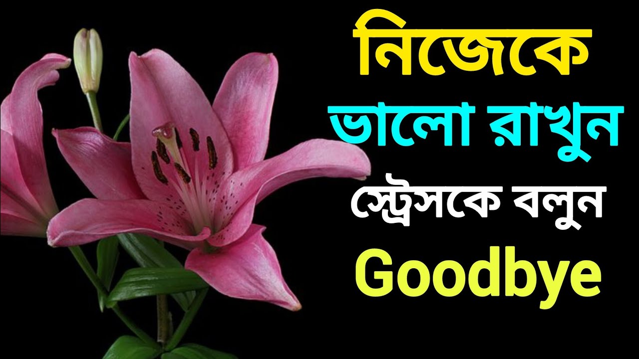 👉😊প্রতিদিন নিজেকে ভালো রাখার শক্তিশালী উপায় গুলি জানুন✅ কার্যকরী ও বাস্তব কৌশল#ytviral #youtube 